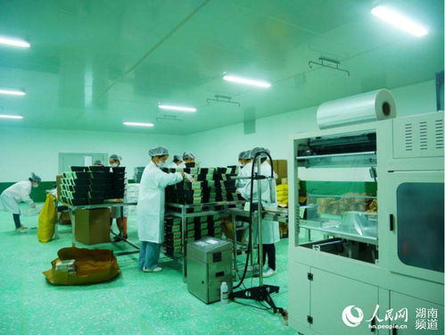 浏阳大瑶盘活闲置花炮工区 探索产业转型新路径